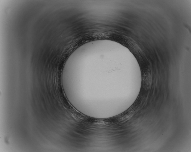 X0000097500416200802220846