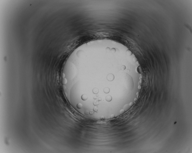X0000097500418200802220846