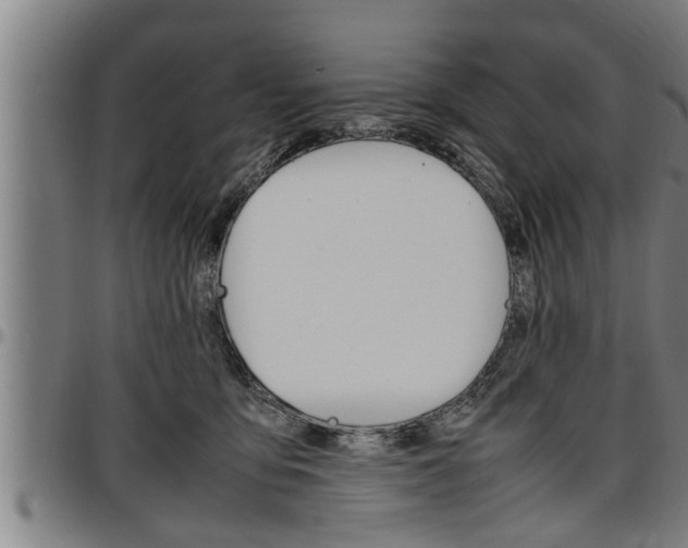 X0000097500419200802220846