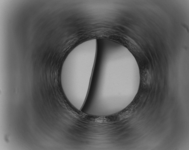 X0000097500420200802220846