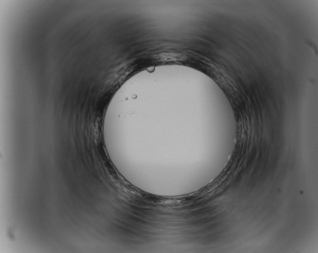 X0000097500422200802220846