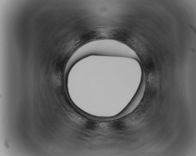 X0000097500423200802220846