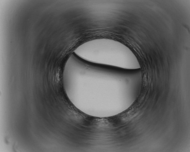 X0000097500424200802220846