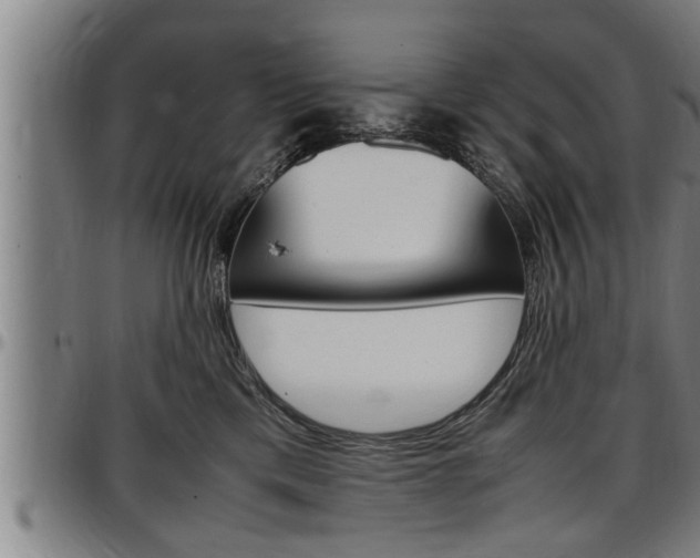 X0000097500425200802220846
