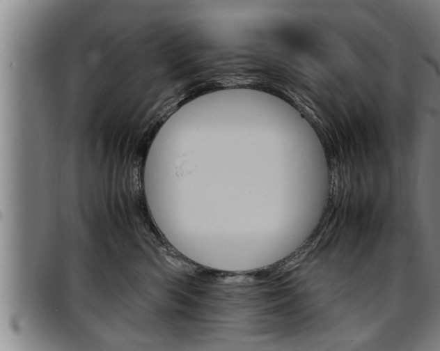 X0000097500426200802220846