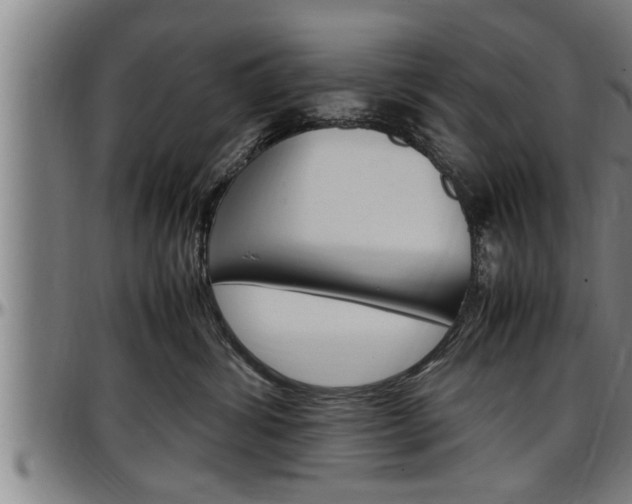 X0000097500428200802220846