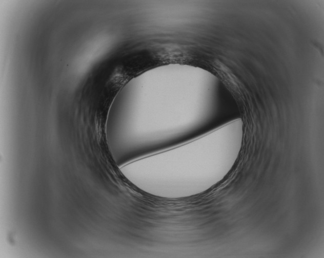 X0000097500429200802220846