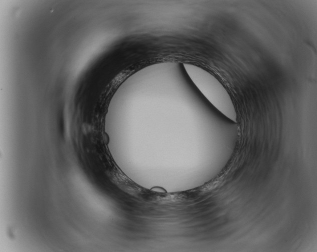X0000097500430200802220846
