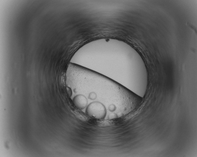 X0000097500432200802220846