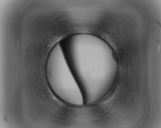 X0000097500433200802220845