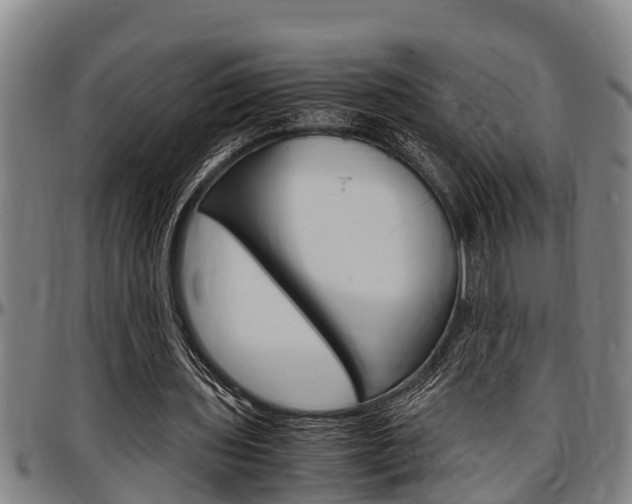 X0000097500435200802220845