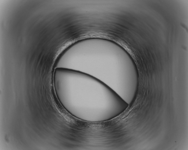 X0000097500438200802220845