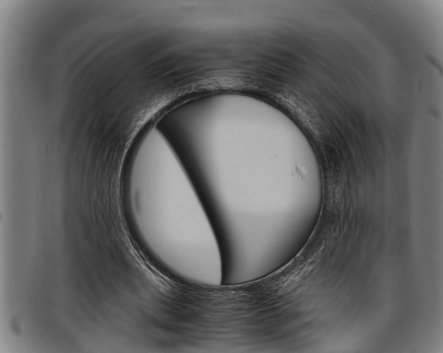 X0000097500439200802220846