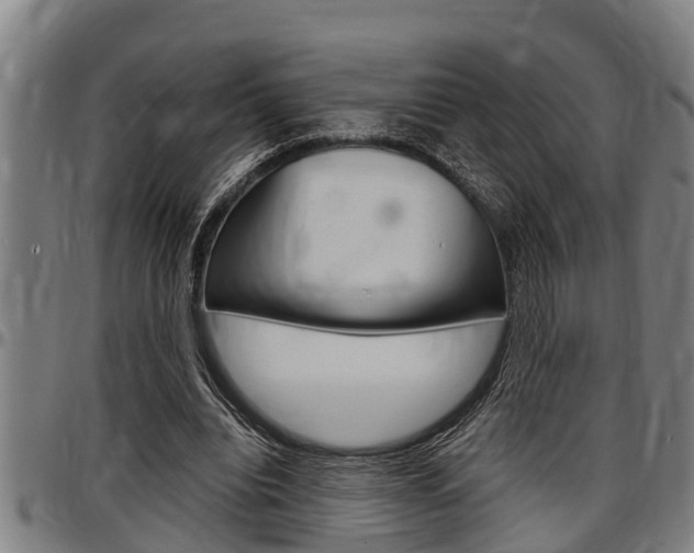 X0000097500440200802220846