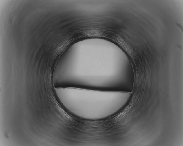 X0000097500441200802220846