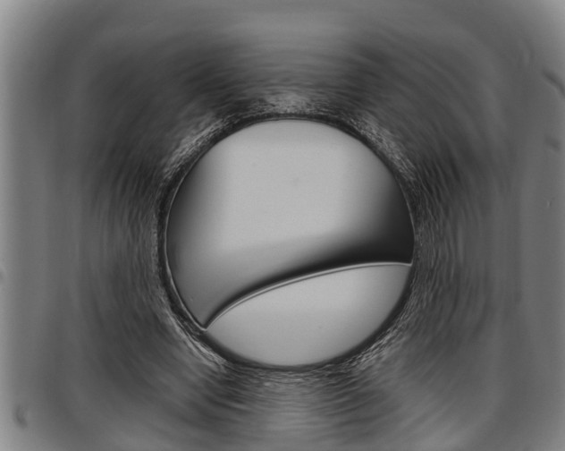 X0000097500442200802220846