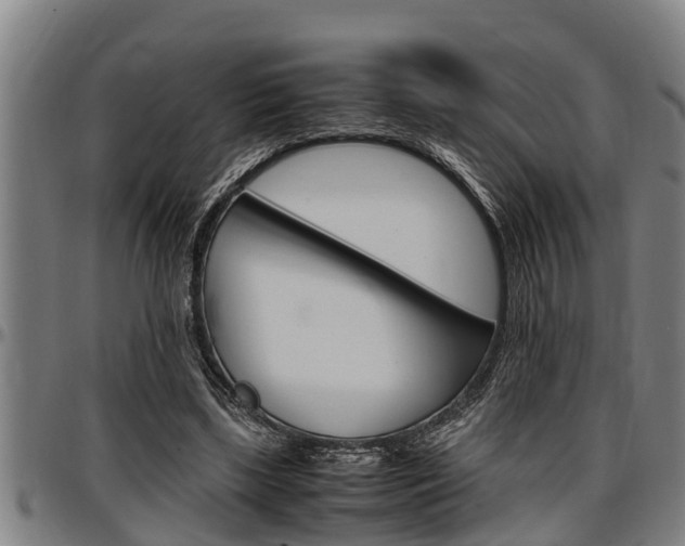 X0000097500443200802220846