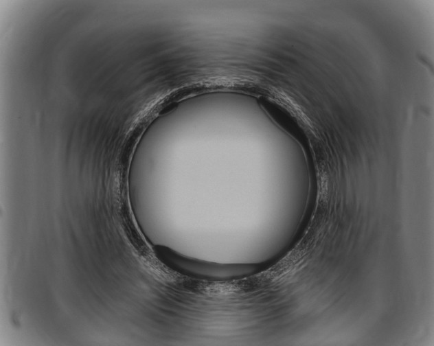 X0000097500444200802220846