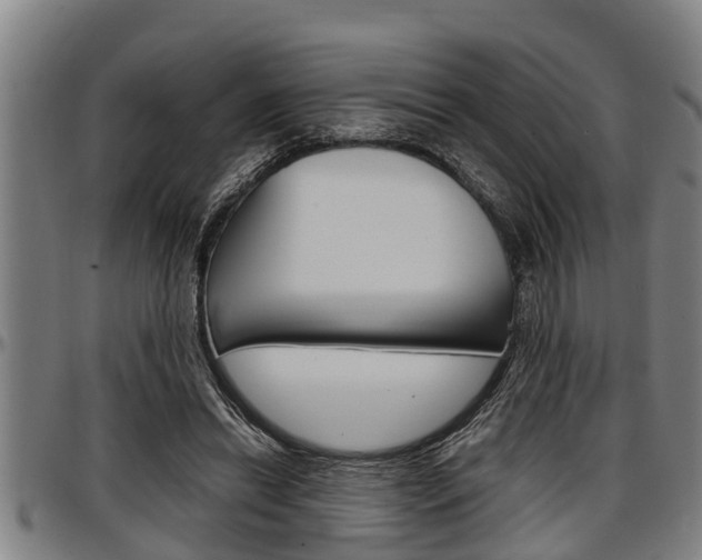 X0000097500446200802220846