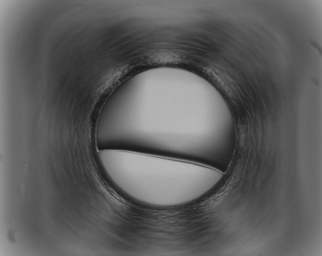 X0000097500447200802220846