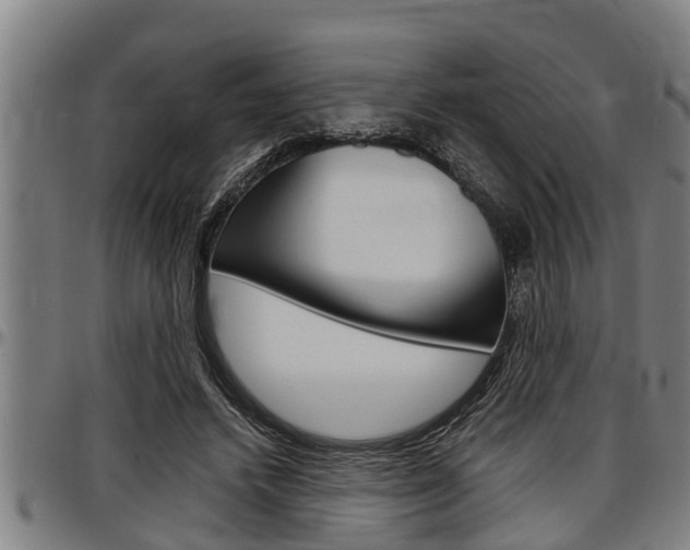 X0000097500448200802220846
