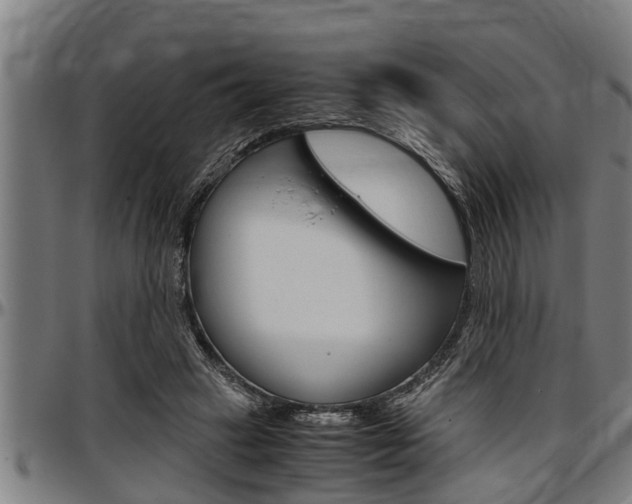 X0000097500449200802220846