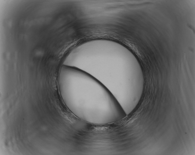 X0000097500450200802220846