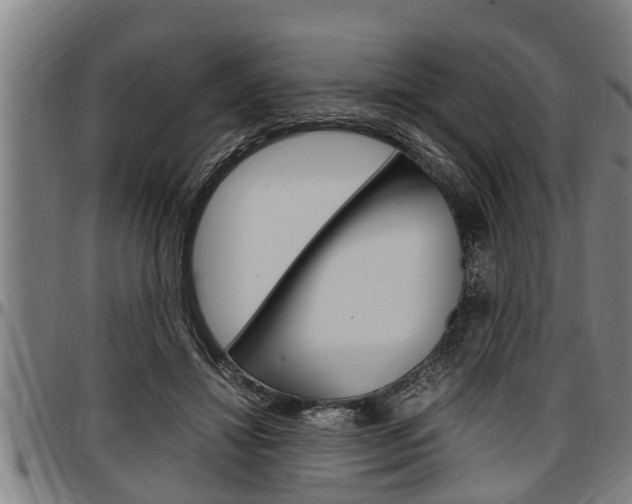 X0000097500452200802220846