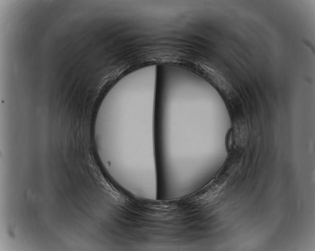 X0000097500453200802220846