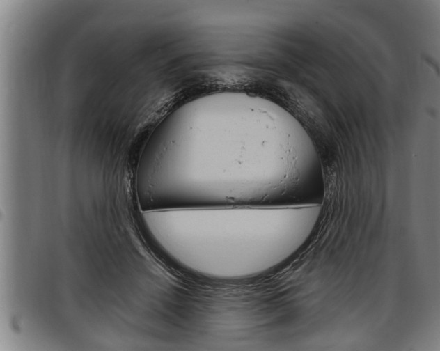 X0000097500456200802220846