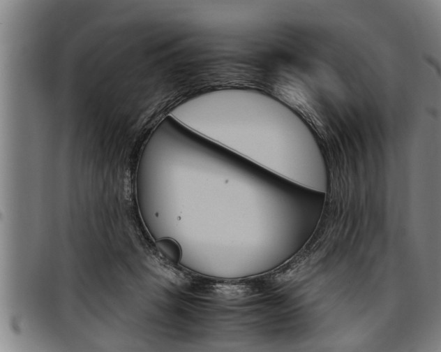X0000097500457200802220846