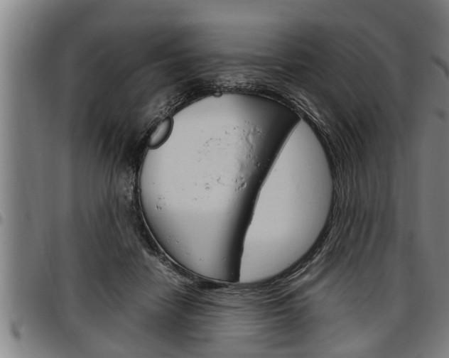 X0000097500458200802220846