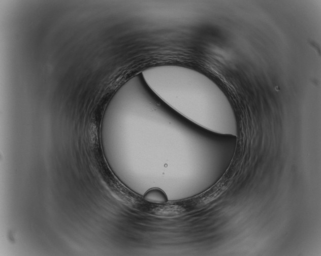 X0000097500459200802220846