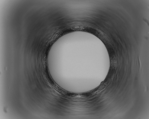 X0000097500460200802220846