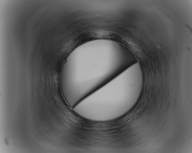 X0000097500461200802220846