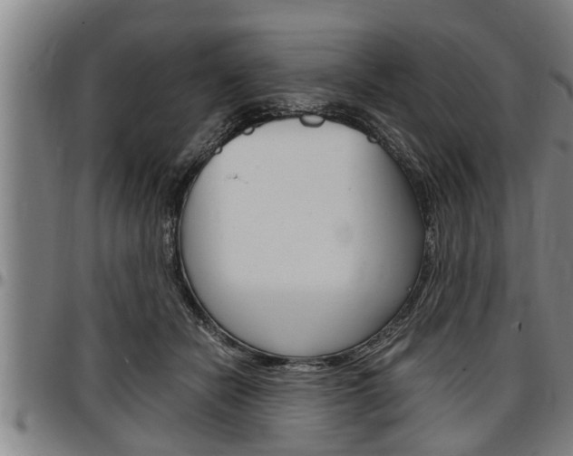 X0000097500462200802220846