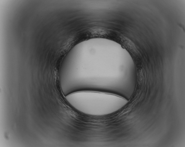 X0000097500463200802220846