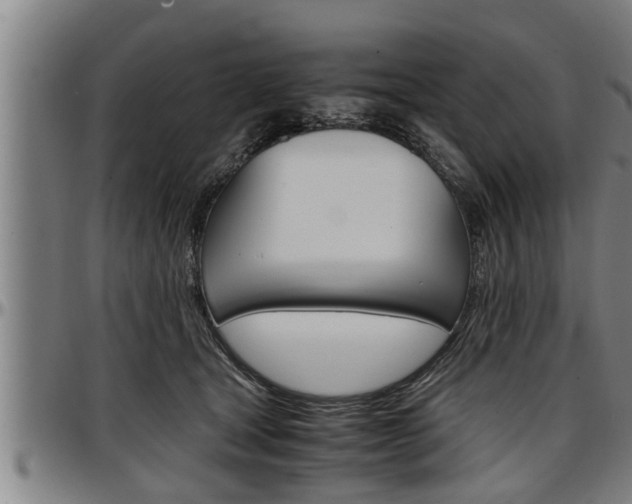 X0000097500465200802220846