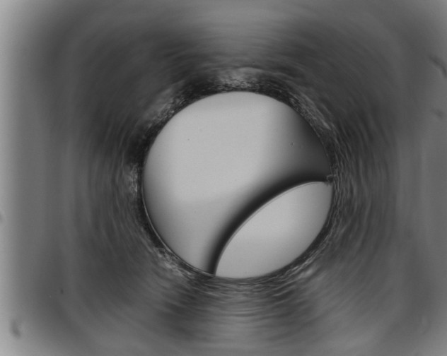 X0000097500466200802220846