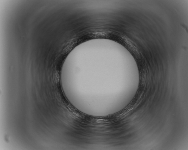 X0000097500467200802220846