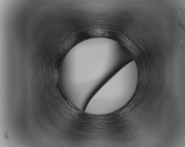 X0000097500469200802220846
