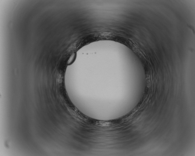 X0000097500472200802220846