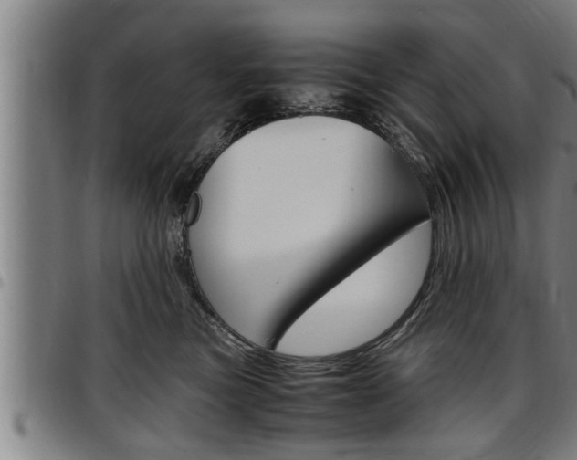 X0000097500473200802220846