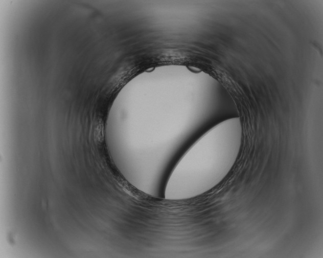 X0000097500474200802220846