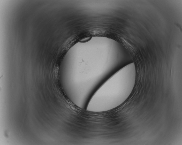 X0000097500475200802220846