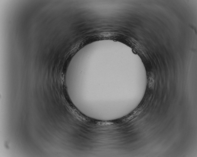X0000097500476200802220846