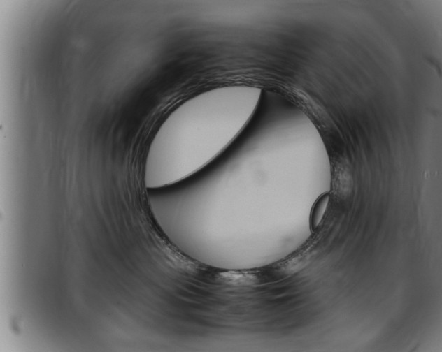 X0000097500477200802220846