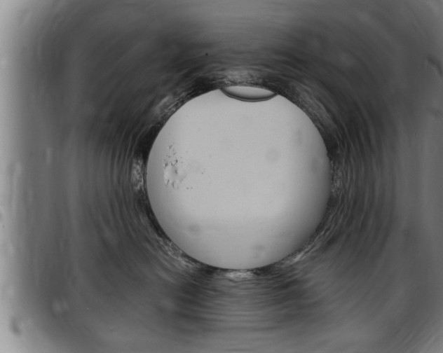 X0000097500478200802220846