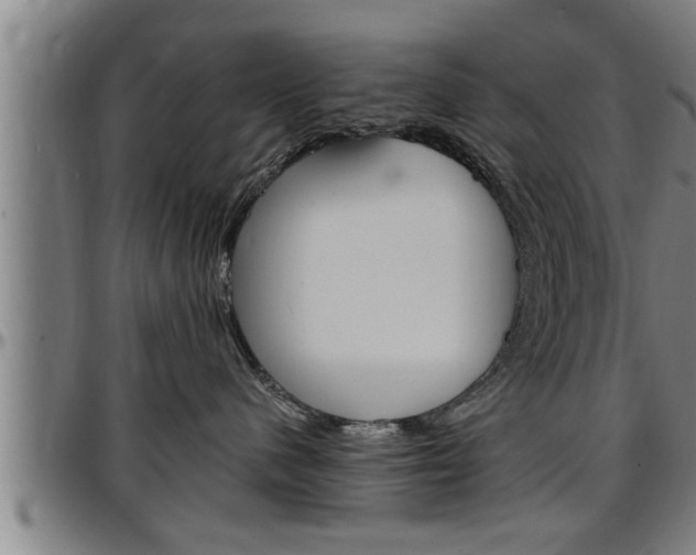 X0000097500480200802220846