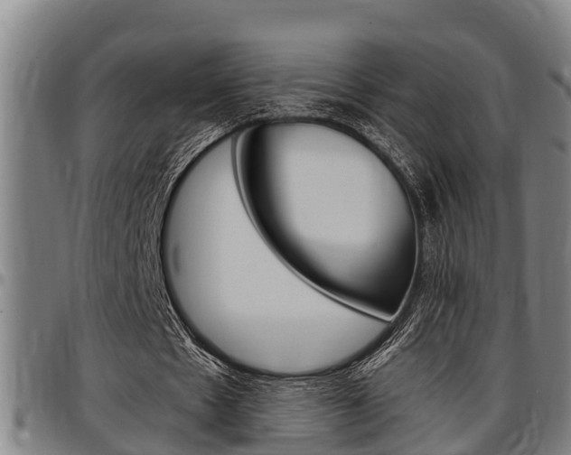 X0000097500481200802220845